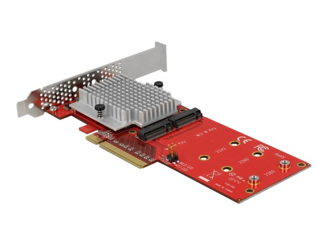 DeLOCK PCI Express Card > 2 x internal M.2 - Schnittstellenadapter - M.2 Card Low-Profile - PCIe 3.0 x8