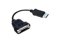 HP - DVI-Adapter - DisplayPort (M) zu DVI-D (W) - für Business Desktop dc7900